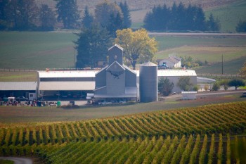 cellar door wine tours oregon